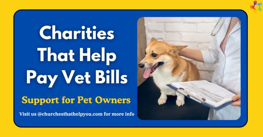 Charities That Help Pay Vet Bills